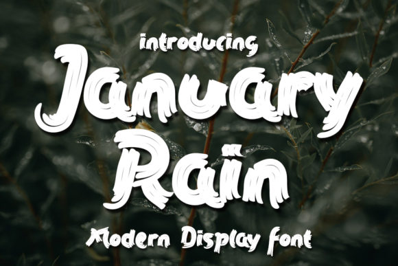 Why January Rain Elevates Your Design Projects